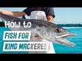 Tips For Beginners Trying To Catch King Mackerel