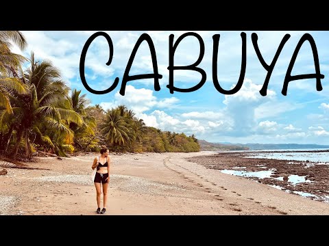 Wild Animals Montezuma and Cabuya, Costa Rica