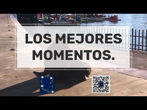 LOS MEJORES MOMENTOS DE LA REGIÓN DE LOS RÍOS Y LAGOS EN EL SUR DE CHILE #chile #valdivia #sur 