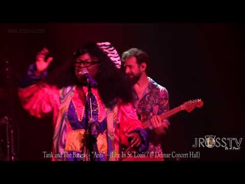 James Ross @ Tank And The Bangas - "Ants" - Live In St. Louis - www.Jross-tv.com (St. Louis)