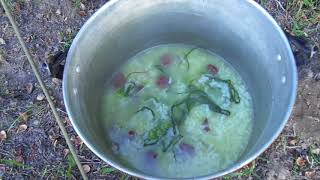 My Rocky Mountains Walkabout: Day 1 - Trail Of Sadness