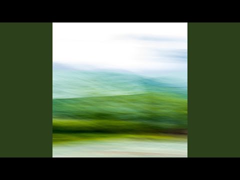 Documentary (feat. Tomor Kuçi)