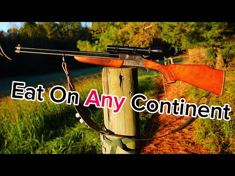 SAVAGE MODEL 24: My favorite combo gun