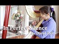 In Perfect Silence by David Tolk (Harp Cover 432hz)