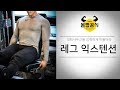 다리운동 레그익스텐션으로 대퇴사두근을 강력하게 만들자