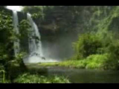 Luke Vibert & BJ Cole - Fly Hawaii