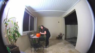 girl steals all the candy