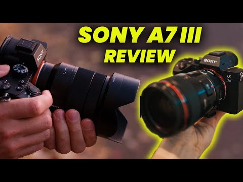 Sony A7III Review 2024: Excellent Low-Light Performance in a Compact Mirrorless Camera