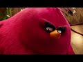 Angry Birds But It S Just Terence