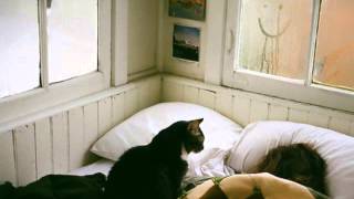 Death Cab For Cutie - Your New Twin Sized Bed (Letra al Español)