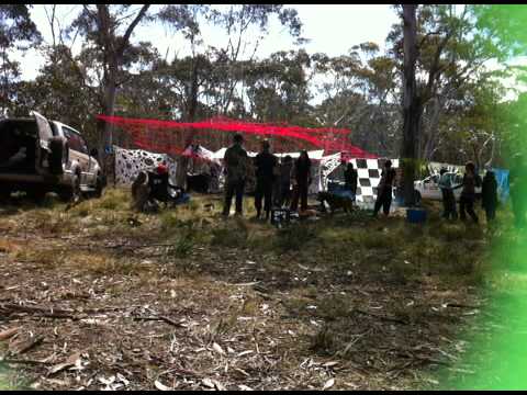 Psilocybe Vibe @ Too Cosmic (1)