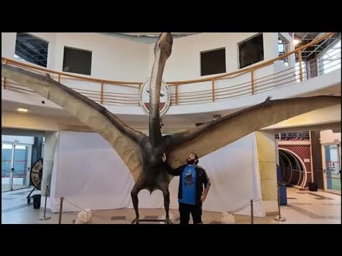 アルゼンチンで発見された「死のドラゴン」と呼ばれる巨大な飛行爬虫類