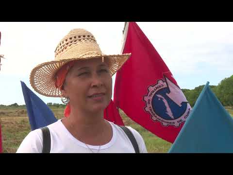 Dedicaron labores productivas en #LasTunas al Comandante en Jefe