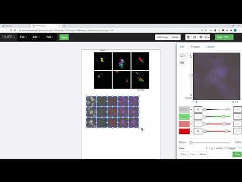 How to create figures in OMERO using OMERO.figure