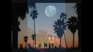 Here Comes The Night - Beach Boys - LA ( the light album ) 1979 wmv
