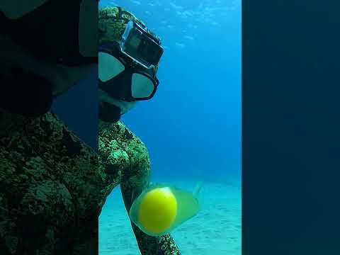 Diver Cracks Egg at 45 ft Deep #Shorts
