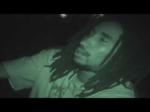 Swan Lingo -  Half Crazy Visualizer