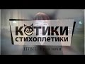 ПТВП - Край ночи (Котики-Стихоплетики) 