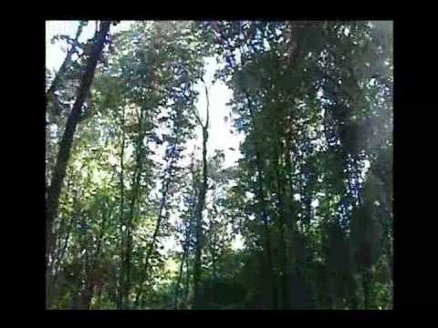 Comuna Coseiu-Salaj (Prezentare)