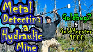 First Gold with the Metal Detector!