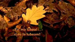 Les feuilles mortes Yves Montand [subtitrat română]