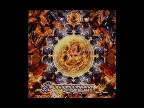 Encephalopaticys - Morbid System