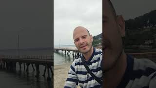 Avanti Almafuerte #avanti #almafuerte