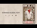 The Used - Darkness Bleeds, FOTF