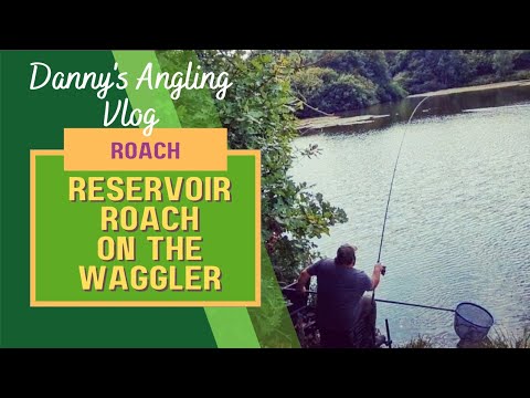 RESERVOIR ROACH ON THE WAGGLER