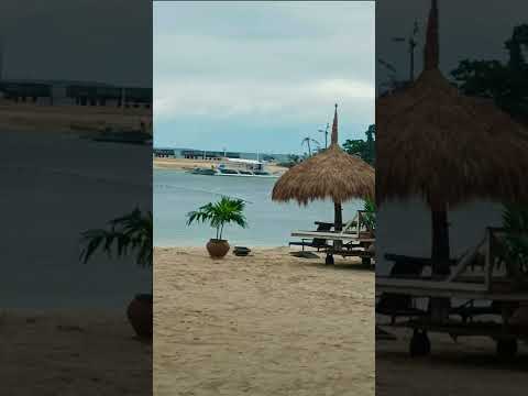 BlueWater Maribago Resort 🐬🐬🐬 #shorts #shortsfeed #short #shortvideo #travel #travelling
