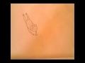 Classical Animation Wmv