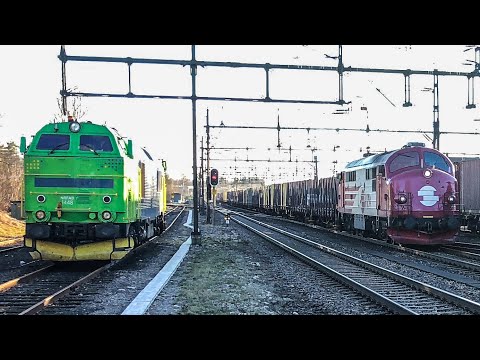 Tåg i soliga Älmhult | Trains in sunny Älmhult