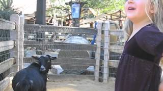 Big Thunder Ranch - Disneyland