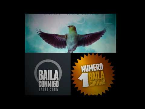 Número Uno BailaConmigo RadioShow - Rául Arribas - Rise