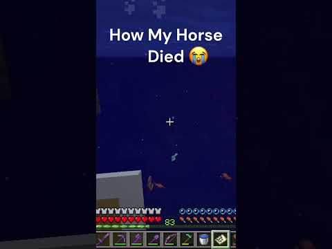 Shocking: My Horse's Tragic Death in Minecraft