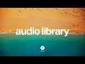 Dutty Vibe Tracks No Copyright Music
