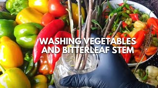 Fresh & Freezer-Ready: How We Preserve Our Garden Harvest for Future