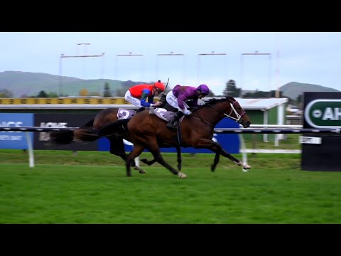 Lantern Way breakthrough in the Gr.2 Hawke's Bay Guineas