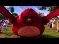 Terence Is Da Biggest Bird ️ Meme