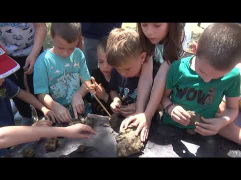 Теlevizija Pomoravlje - Nedelja muzeja u muzeju "Horeum Margi Ravno"