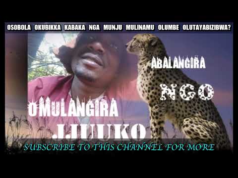 Osobola okubikka kabaka nga munju mulimu olumbe olutayabizibwa? Omulangira jjuuko Munabuddu