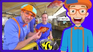 Learn About Fish for Children with Blippi | Educational Videos for Kids