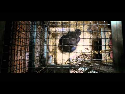 Rise of the Planet of the Apes (2011) Teaser Trailer