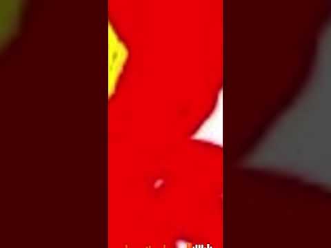 Man show Drekka Drekka Drekka sangen