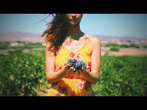 Wanderlust Greece | North Aegean Islands | Lemnos