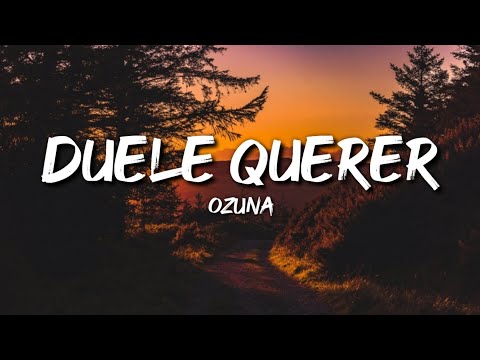 Ozuna - Duele Querer (Letra / Lyrics)