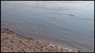 Особое внимание стражи порядка уделяют безопасности детей