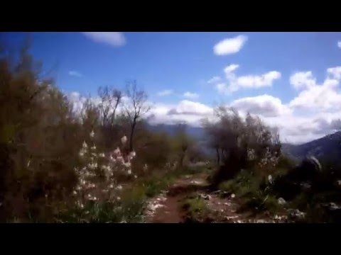 06 aprile 2014 parco eolico durazzano