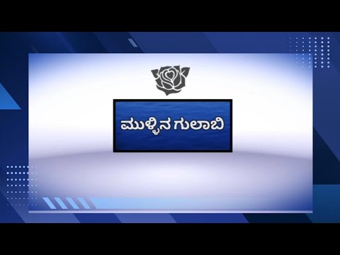 MULLINA GULABI - NEWS