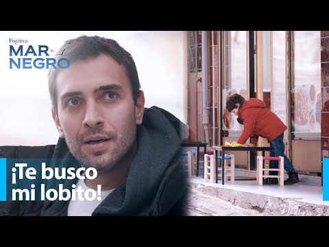 Tahir buscó a Nefes - Mar Negro Capítulo 135 | Fugitiva